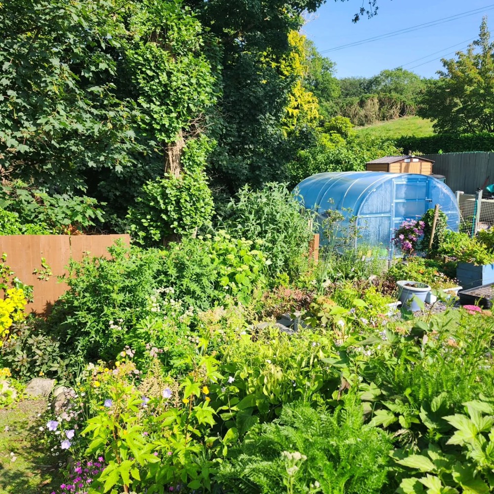 Our flower garden in Gwynedd