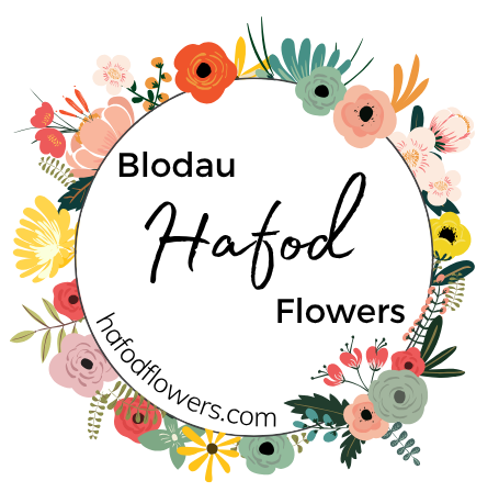 Blodau Hafod Flowers