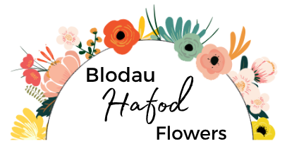 Blodau Hafod Flowers